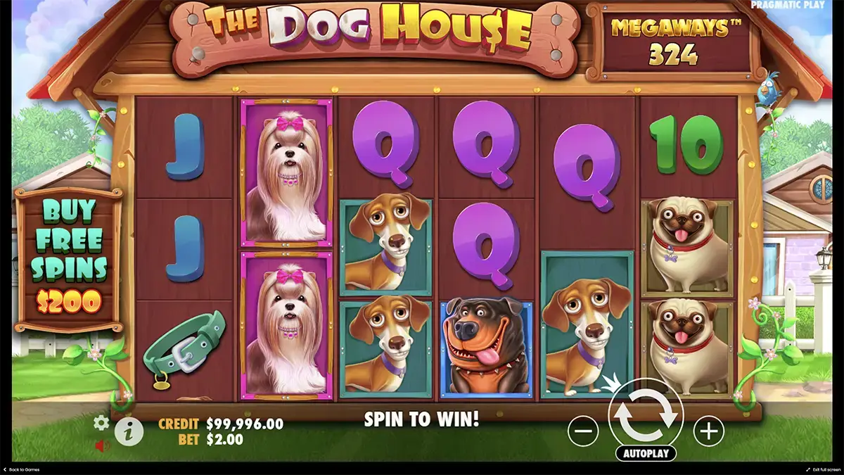 Тестирование игры the Dog house Megaways