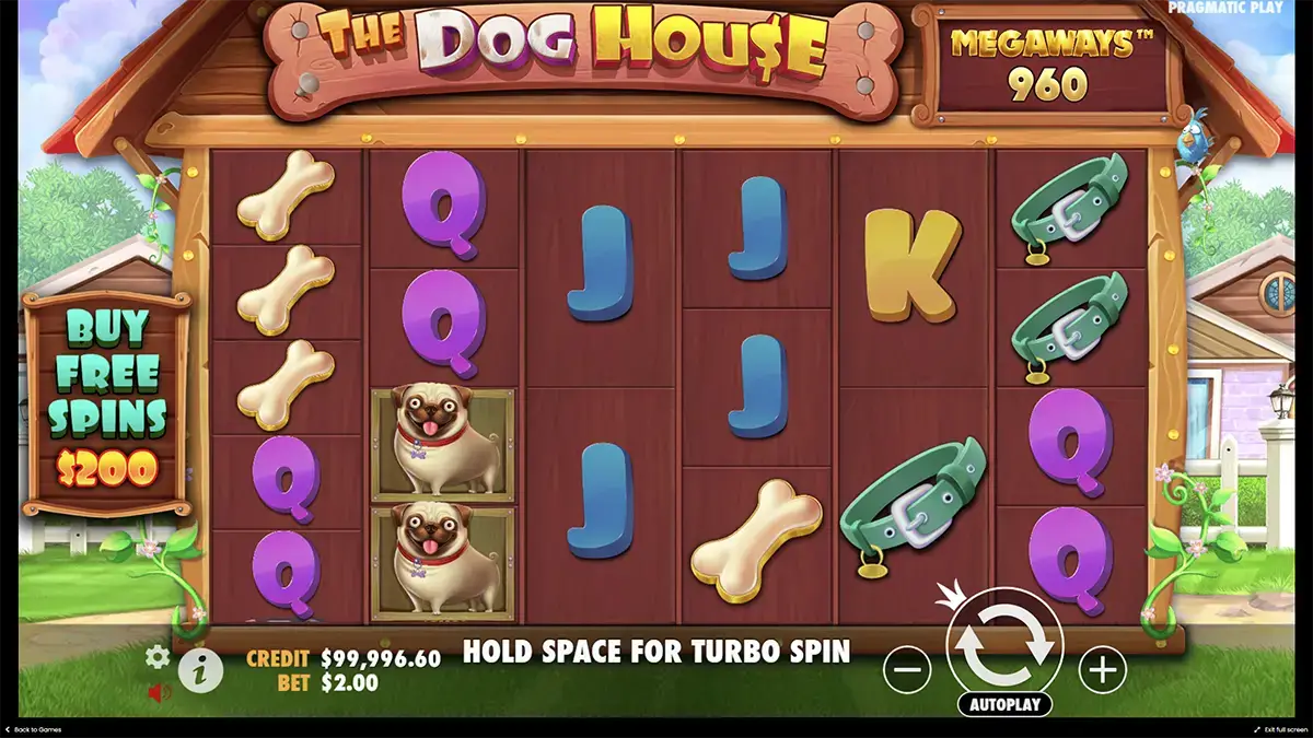 Характеристики демо the Dog house Megaways