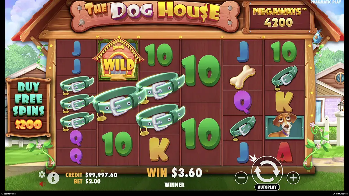 Как делать ставки в демо the Dog house Megaways