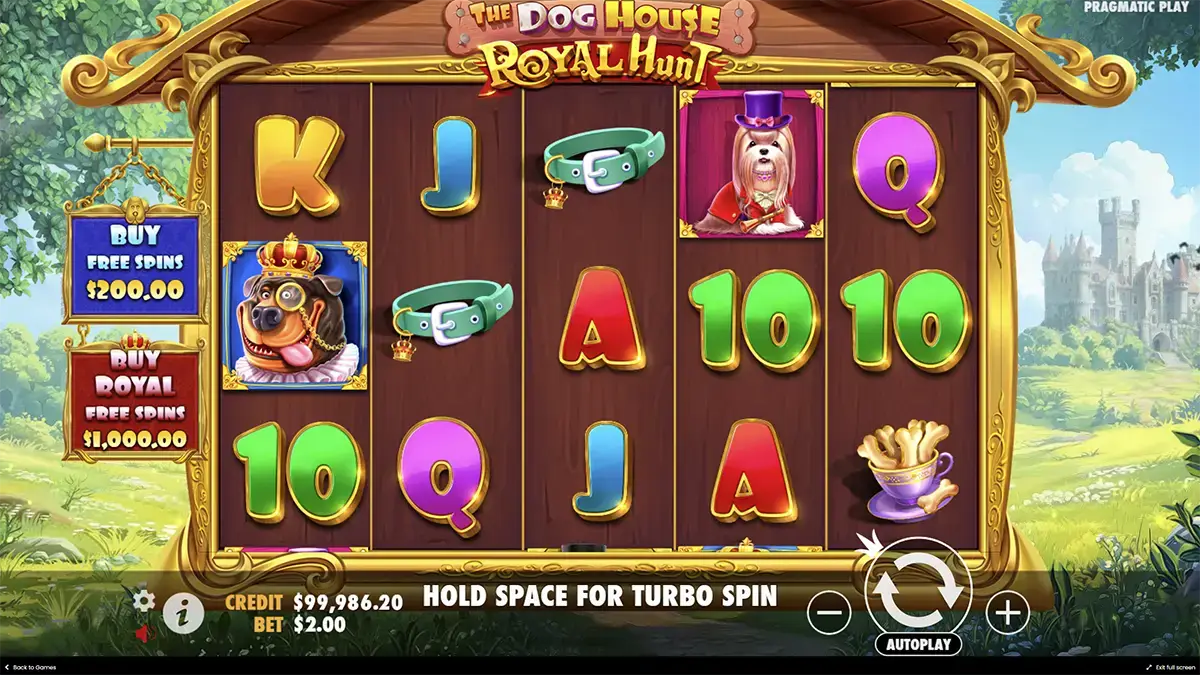 Популярность слота the Dog house Royal Hunt